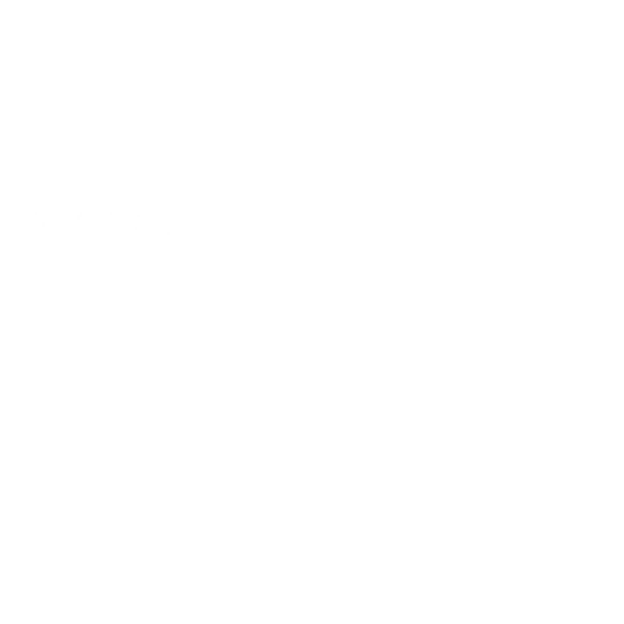 Customization